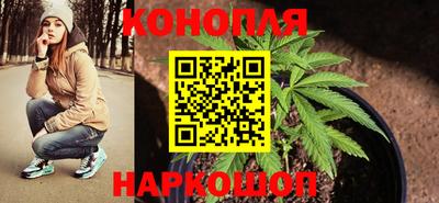 круглые Камышлов